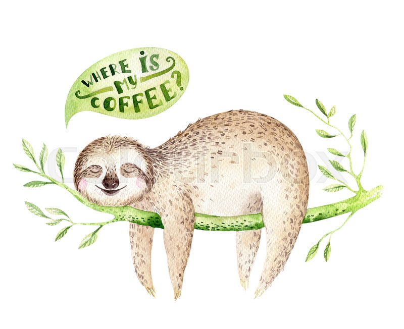 Baby animals sloth.