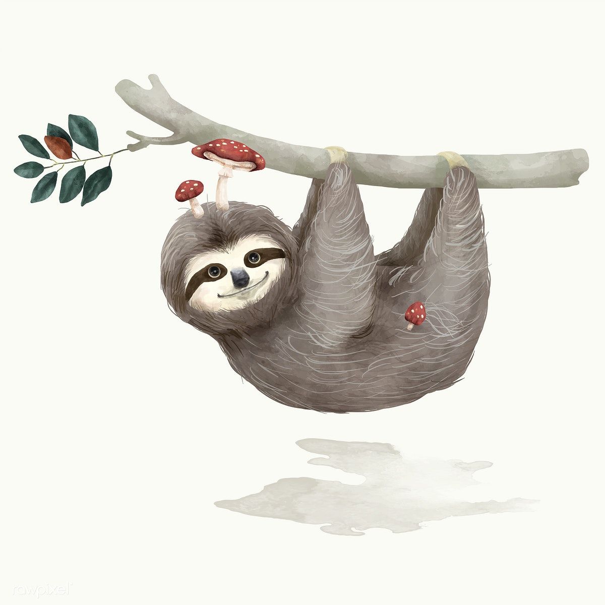 Illustration sloth free.