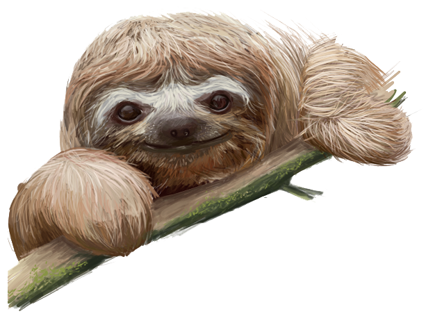 Sloth Clip art