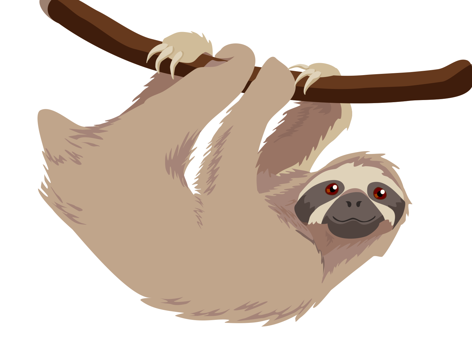 sloth clipart free transparent background