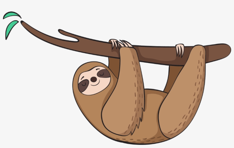Transparent Sloth Clipart : Download High Quality sloth clipart