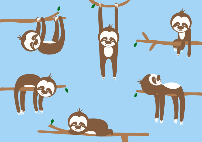 Free Sloth Cartoon Vector