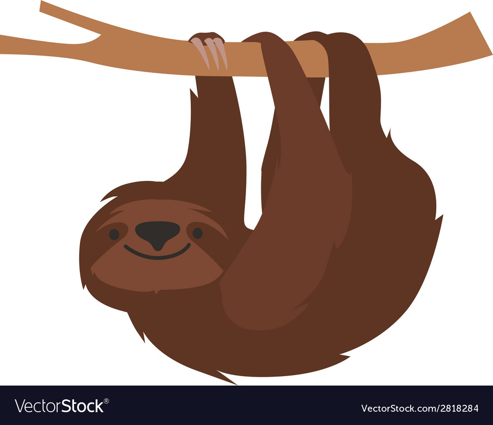 Cute sloth.