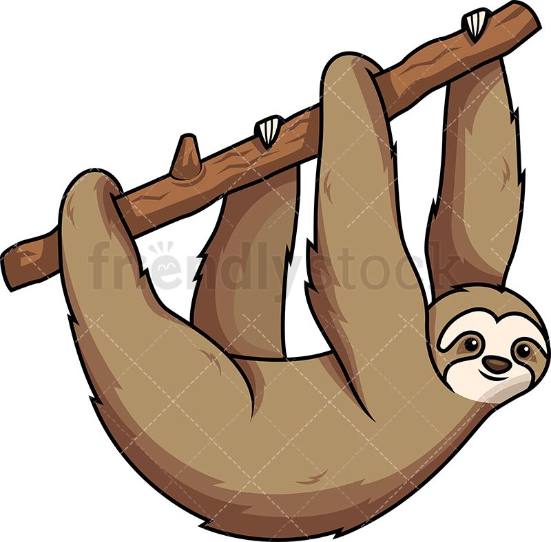 Sloth hanging from.