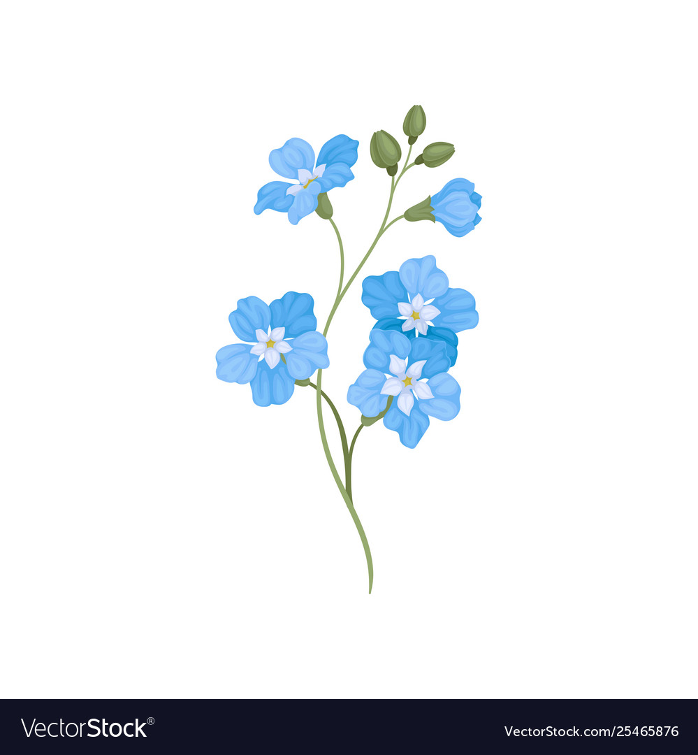 Five small blue flowers on a branch