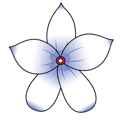 Learn how to draw a jasmine flower drawing