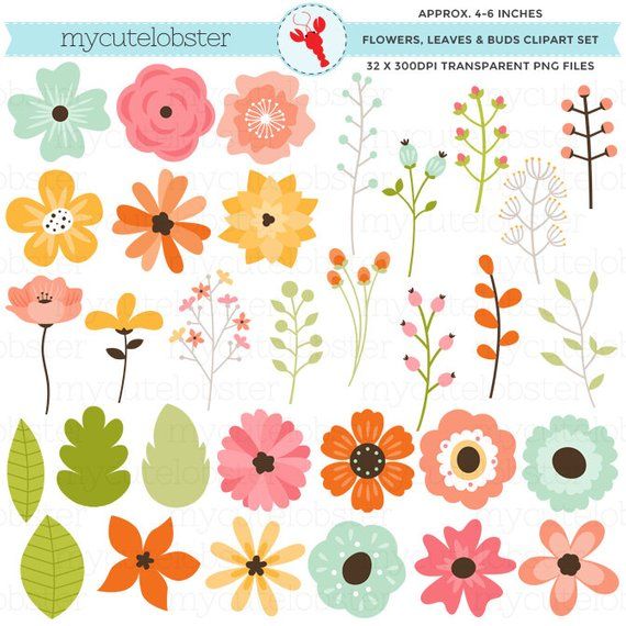 Floral Elements Clipart Set