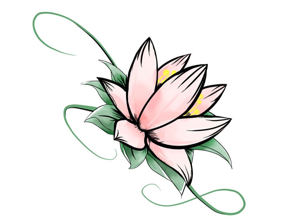 Wallpapers Flower Draw Lotus Tattoo Designs Best Pictures