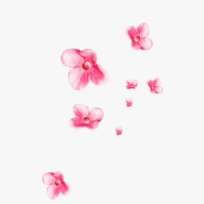 Floating Flower, Flower Clipart, Pink Fl