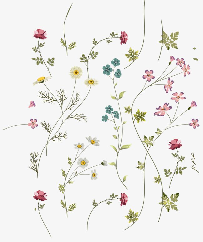 Lines Of Small Floral Background Vector, Background Clipart