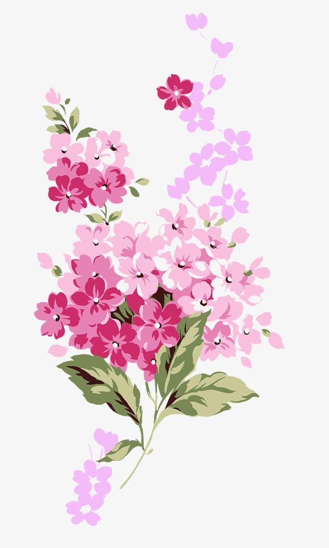 small flower clipart vector
