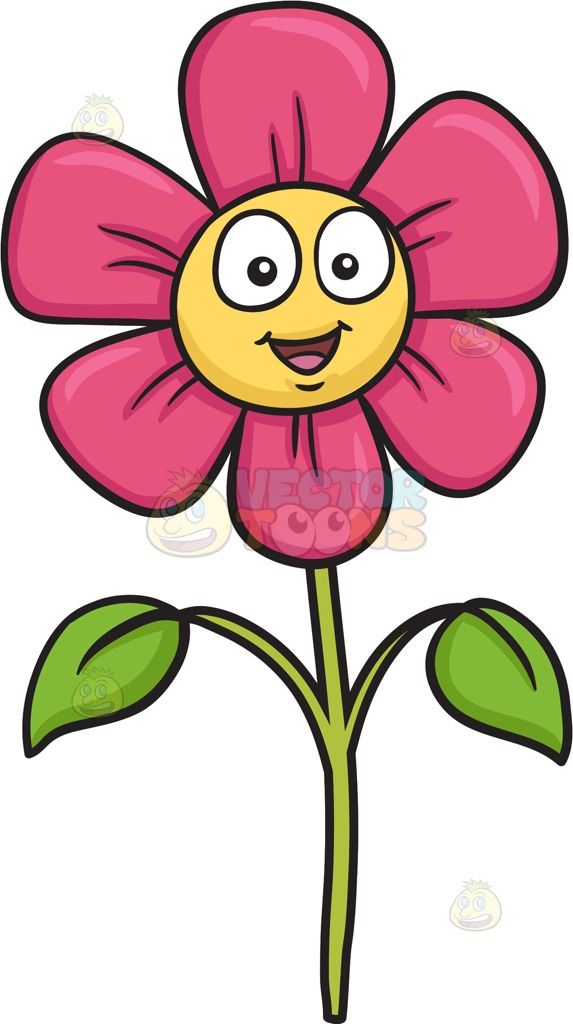 A cute and happy pink flower