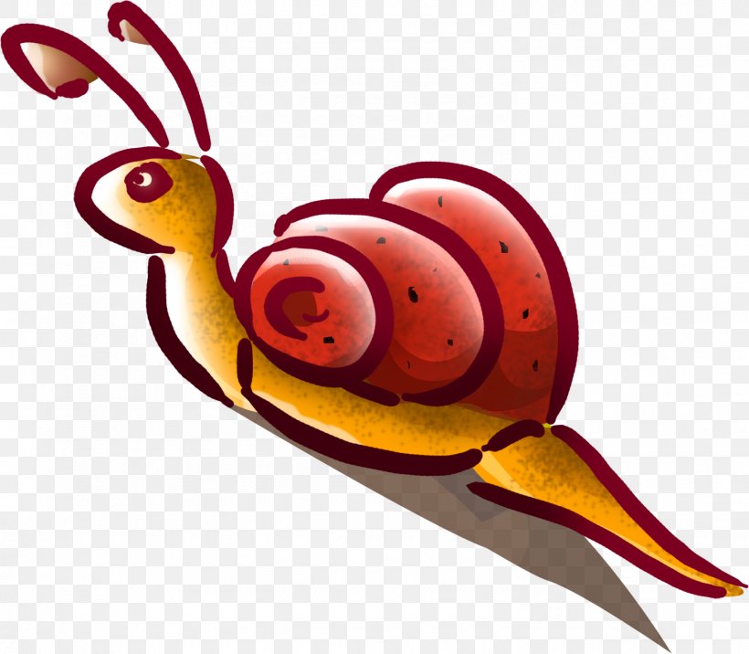 Gastropods snail caracol.