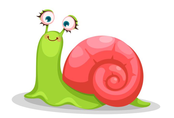 Cute snail cartoon.