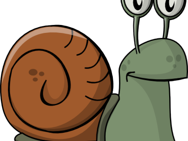 Free snail clipart.