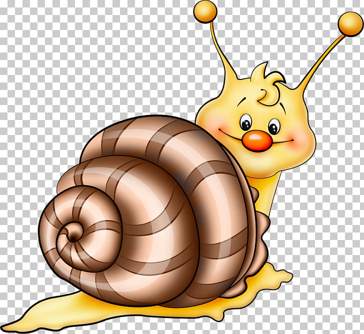 Drawing caracol snail.