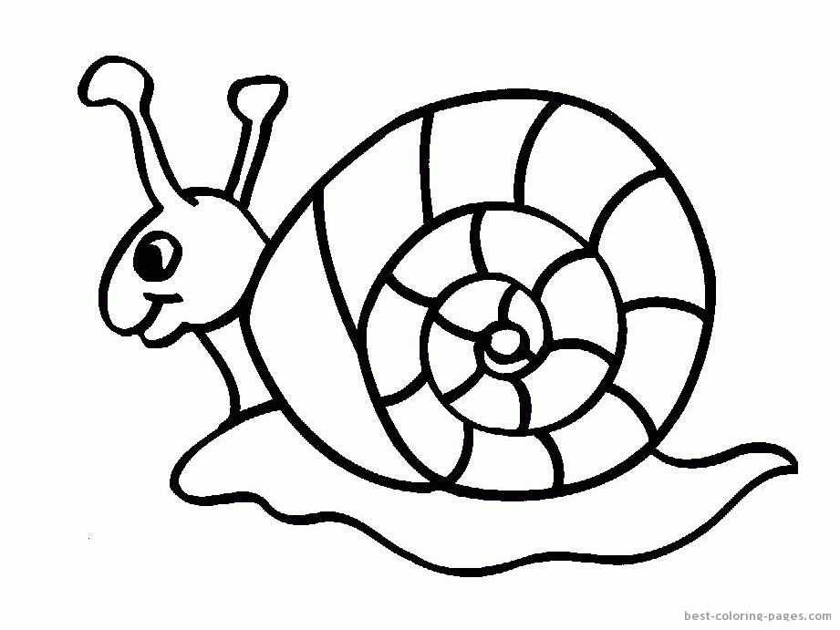 Free Snail Pictures For Kids, Download Free Clip Art, Free