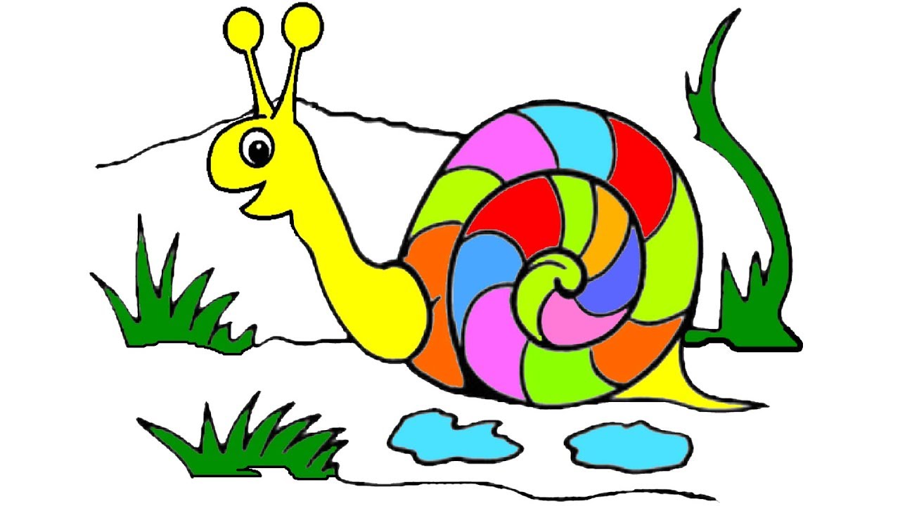 How to Draw Snail Coloring Pages