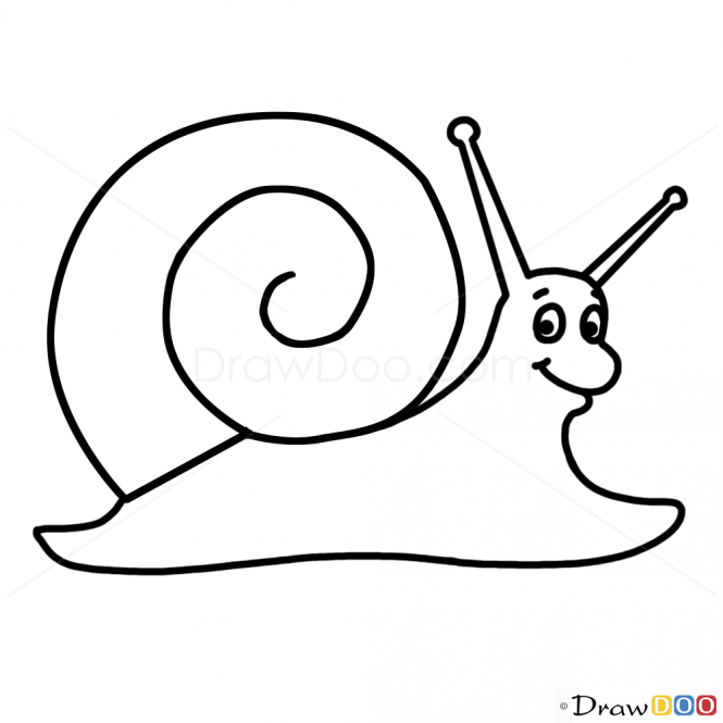 snail clipart drawing