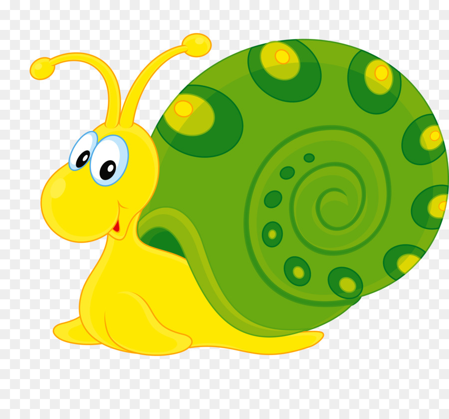 Insect Snail Clip art