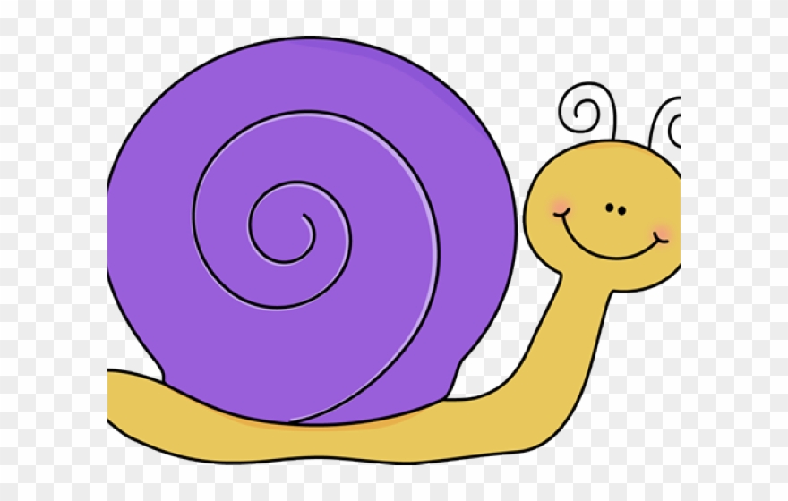 Snail Clipart Insect