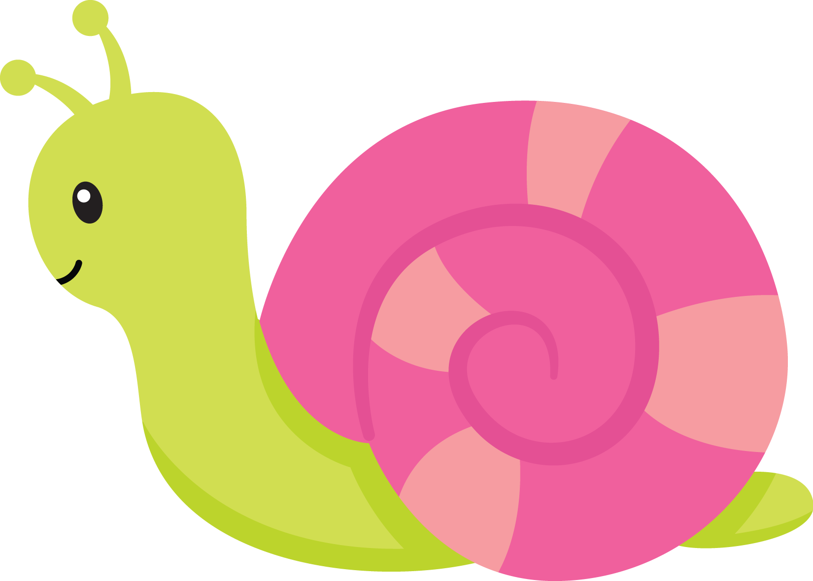 Insect clipart snail.