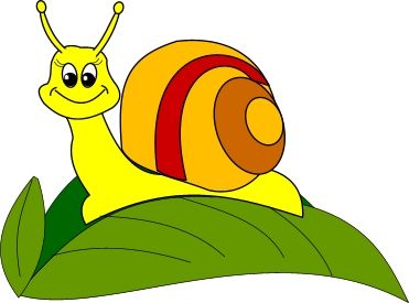 Snail Clipart