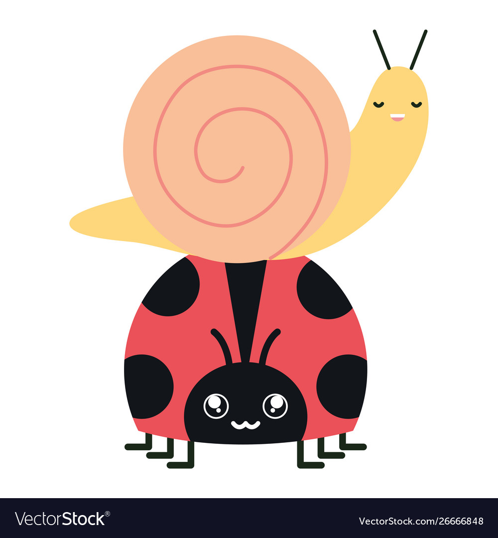 Cute ladybug and snail kawaii characters