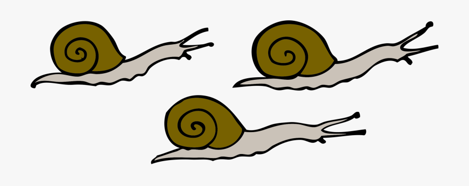 Movement snails moving.