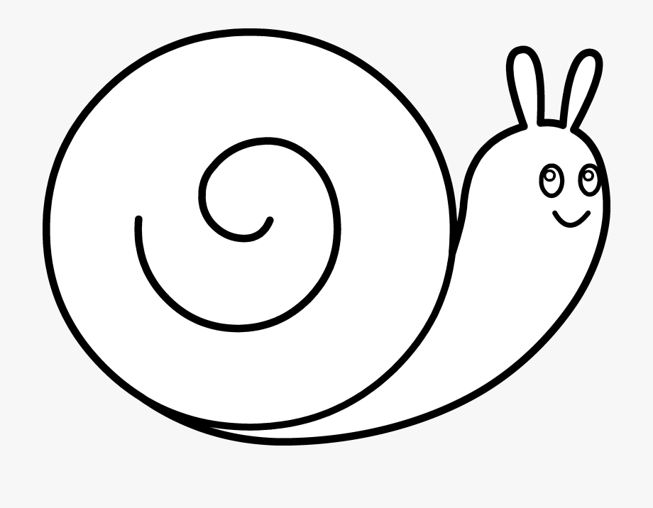 Outline Images Of A Snail