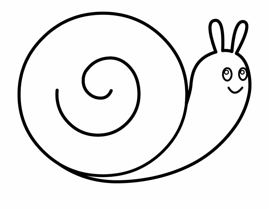 Pin Snail Clipart Outline