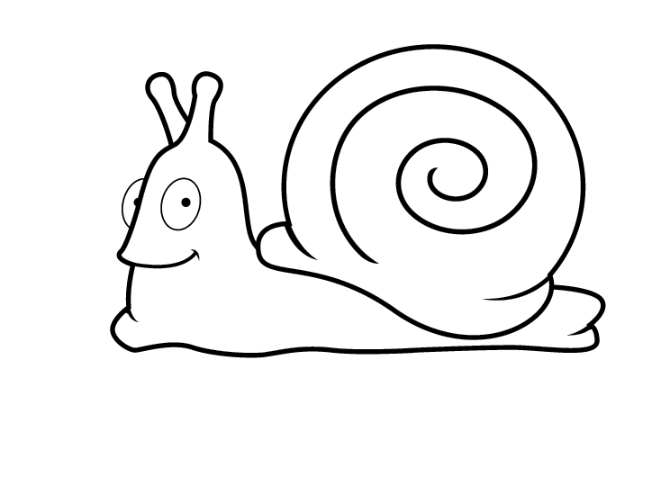 Snail Clip Art Black And White