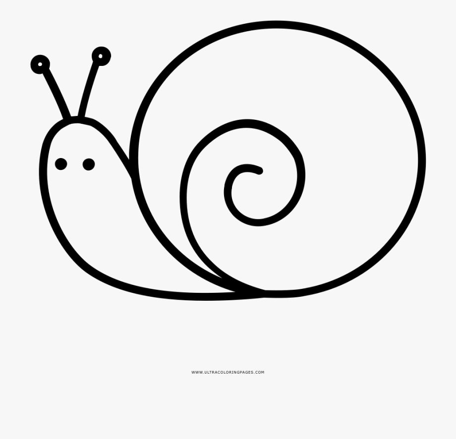 Clipart Black And White Images Of Snail