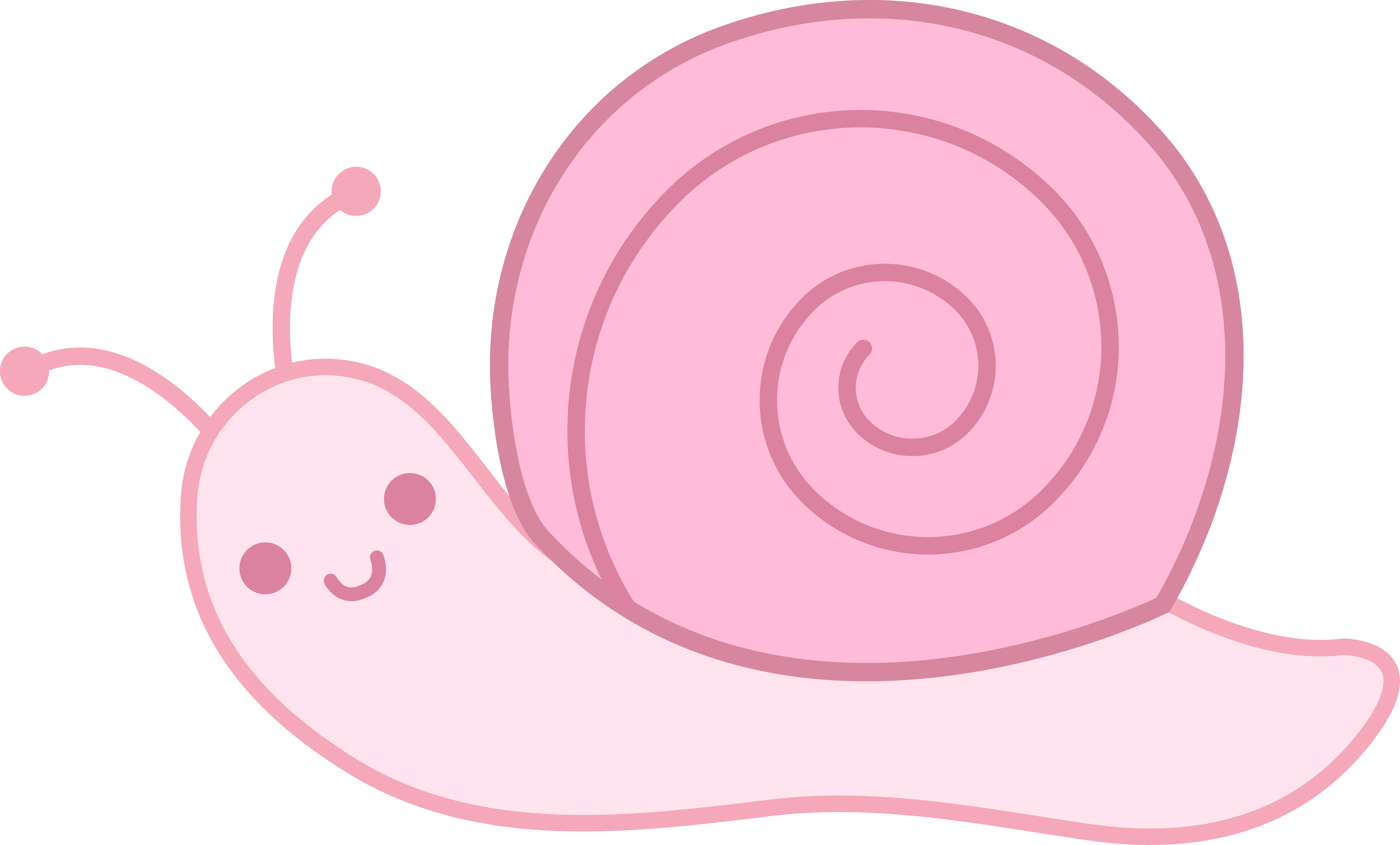Cute Pink Snail
