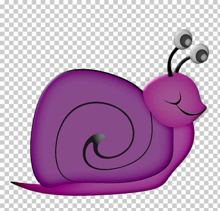 Snail drawing polymita.