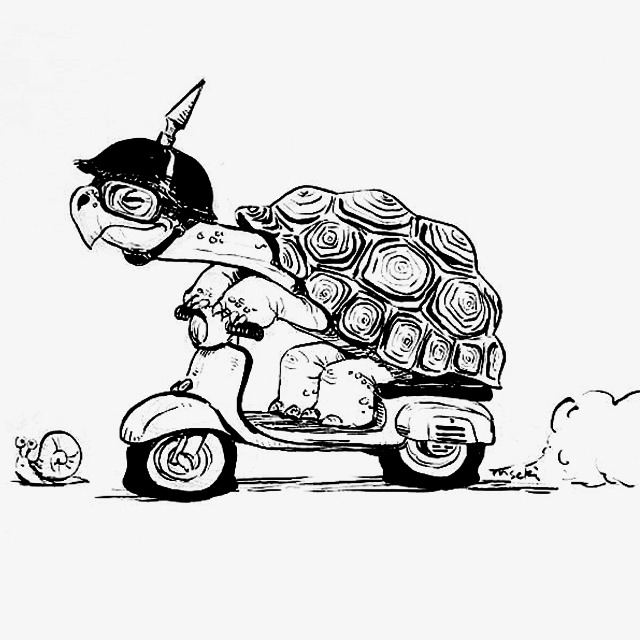Download Free png Turtle And Snail Race, Turtle Clipart
