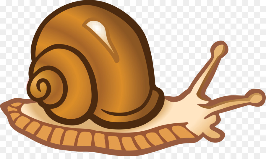 Snail cartoon clipart.