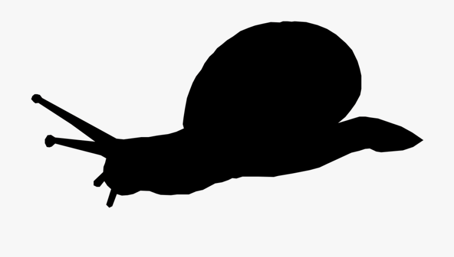 Silhouette Animal Free Image On Pixabay Slow