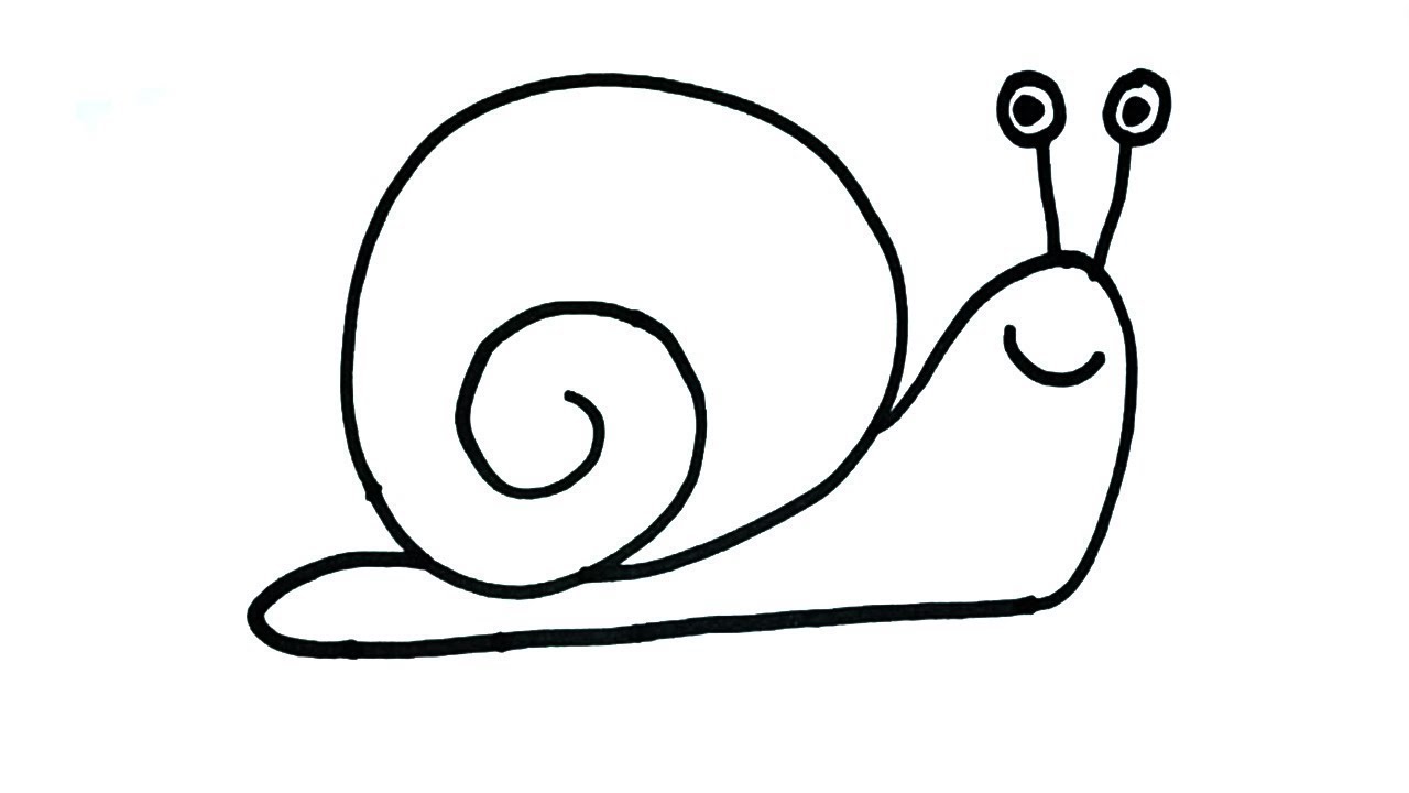 Sea snail drawing.