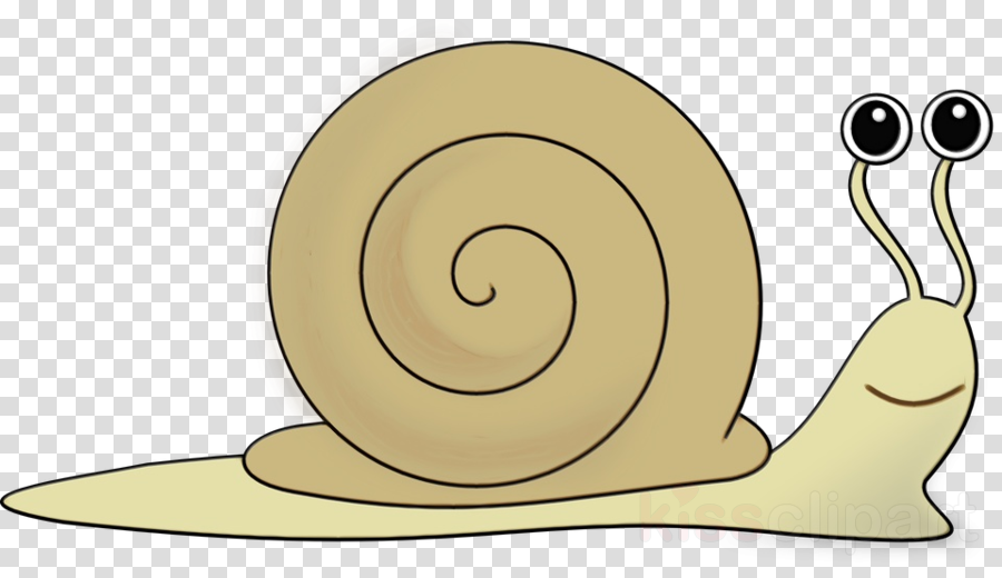Snails and slugs snail sea snail clip art slug clipart