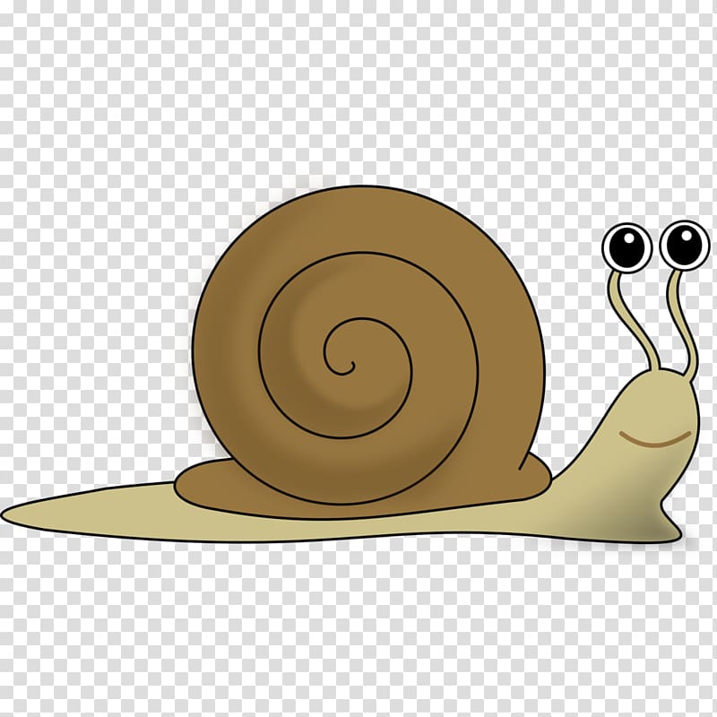 Snail snail transparent.