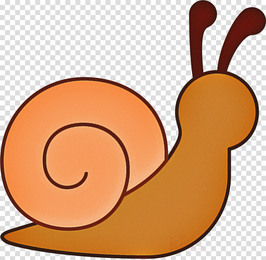 Clip art snails.