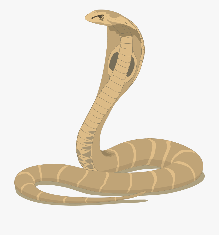Cobra snake cartoon.