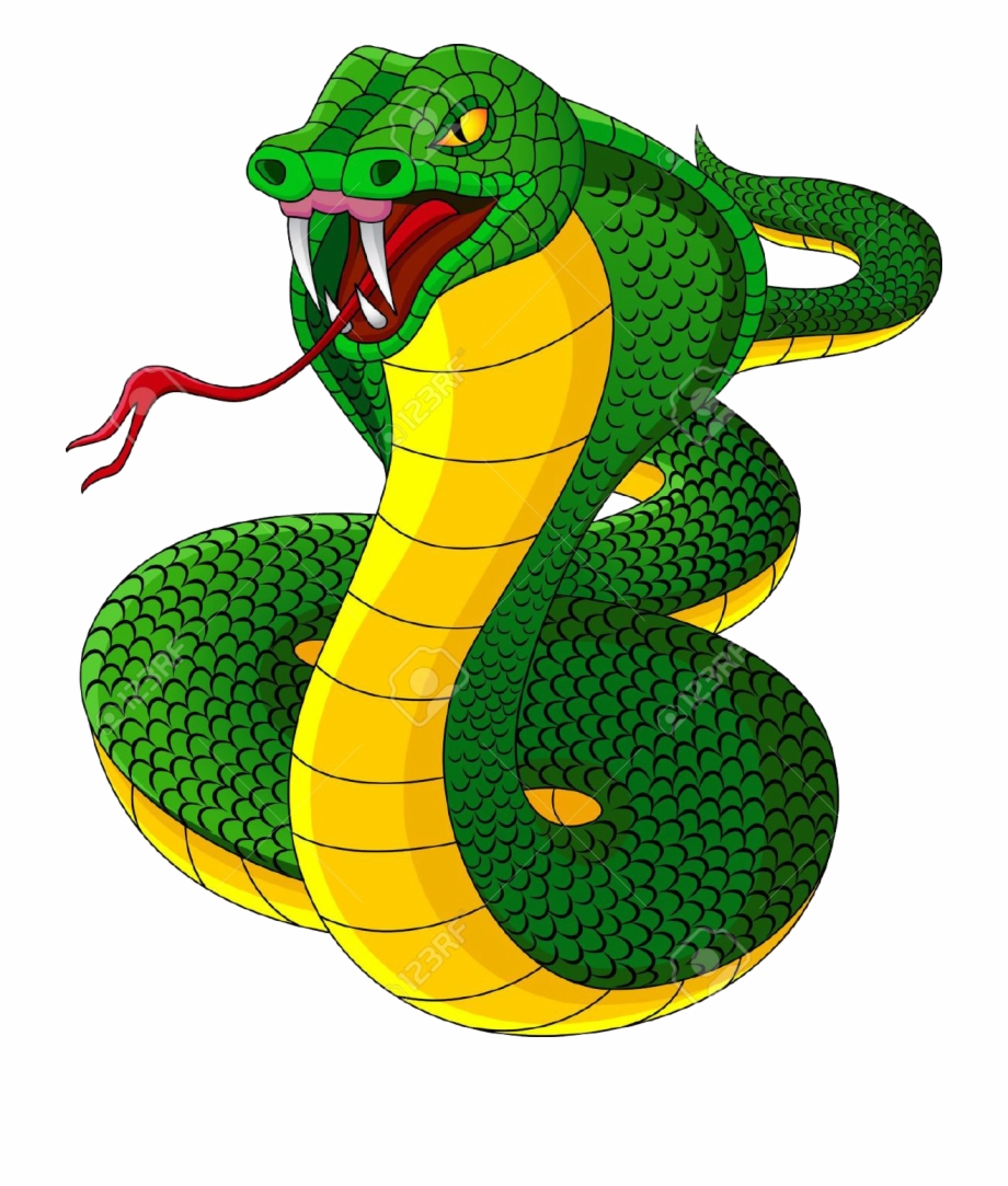 Cobra Snakes Clipart Free PNG Images