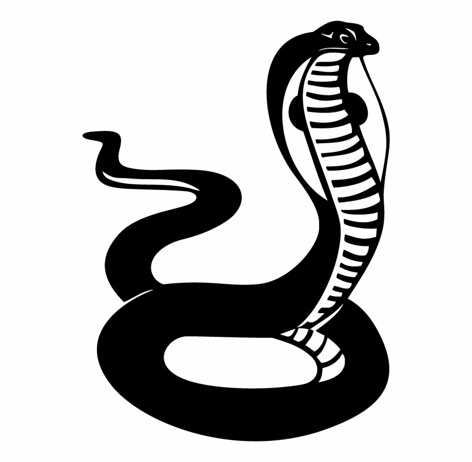 Dc11302 cobra snake.