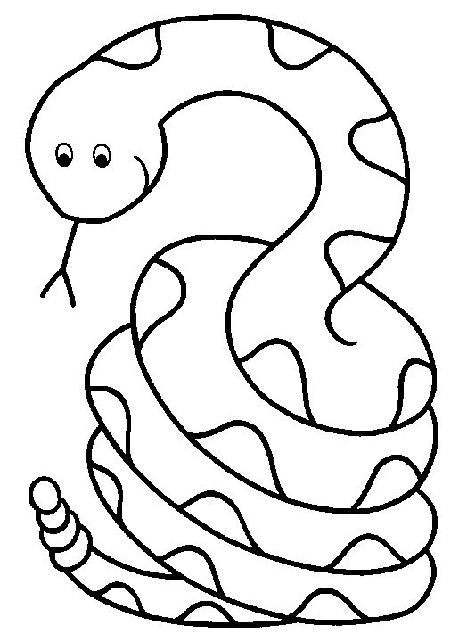 Free snake drawing.