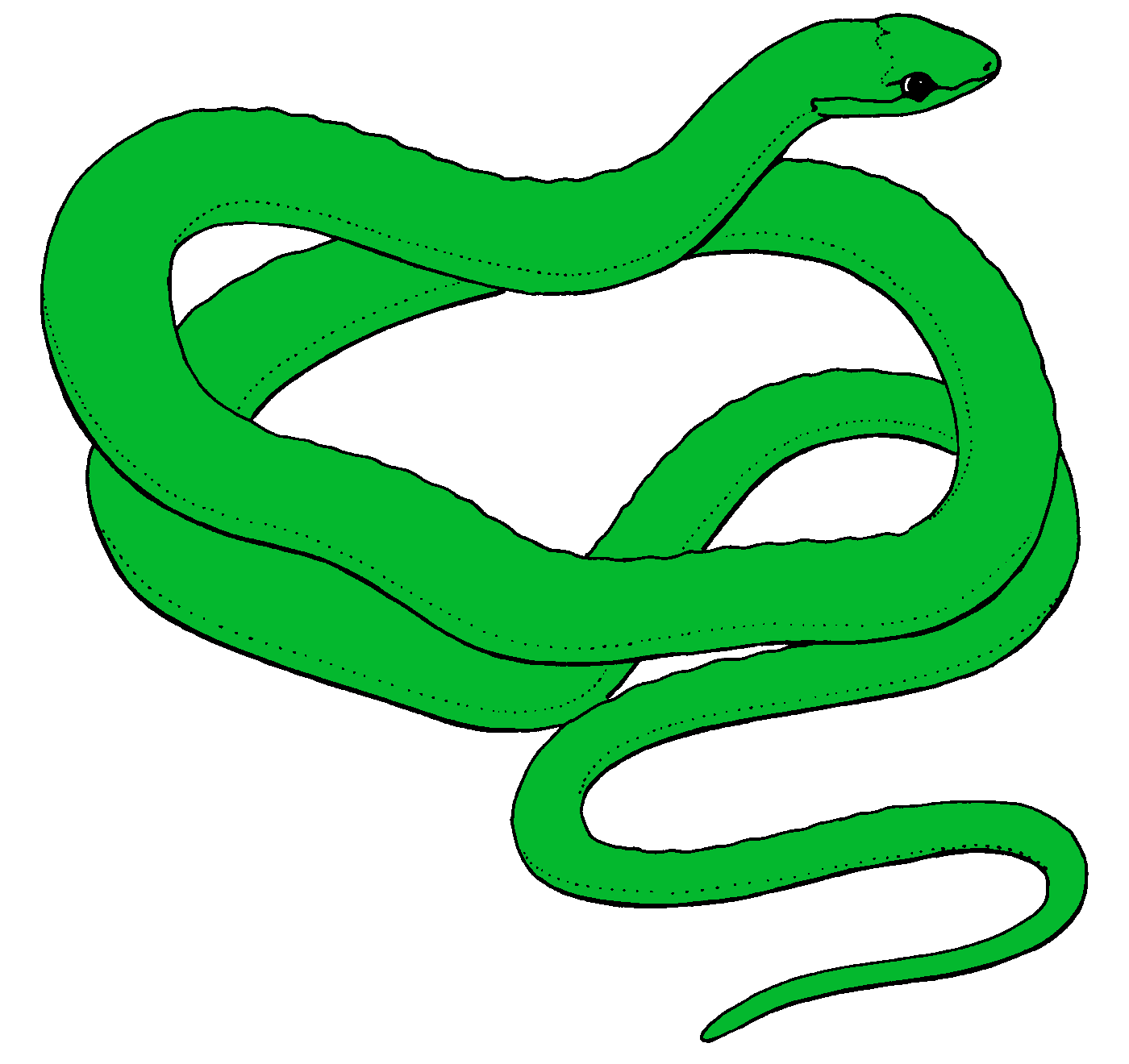 Free Snake Cliparts, Download Free Clip Art, Free Clip Art