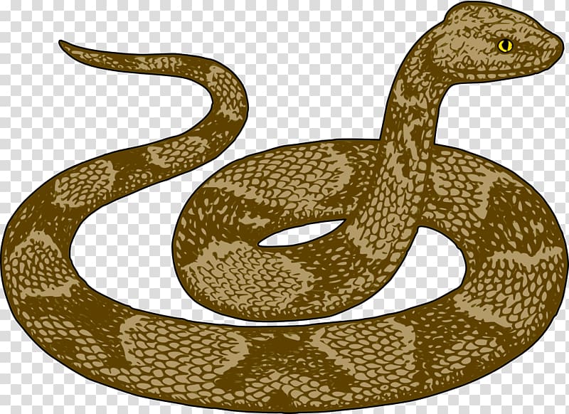 Snake free content.