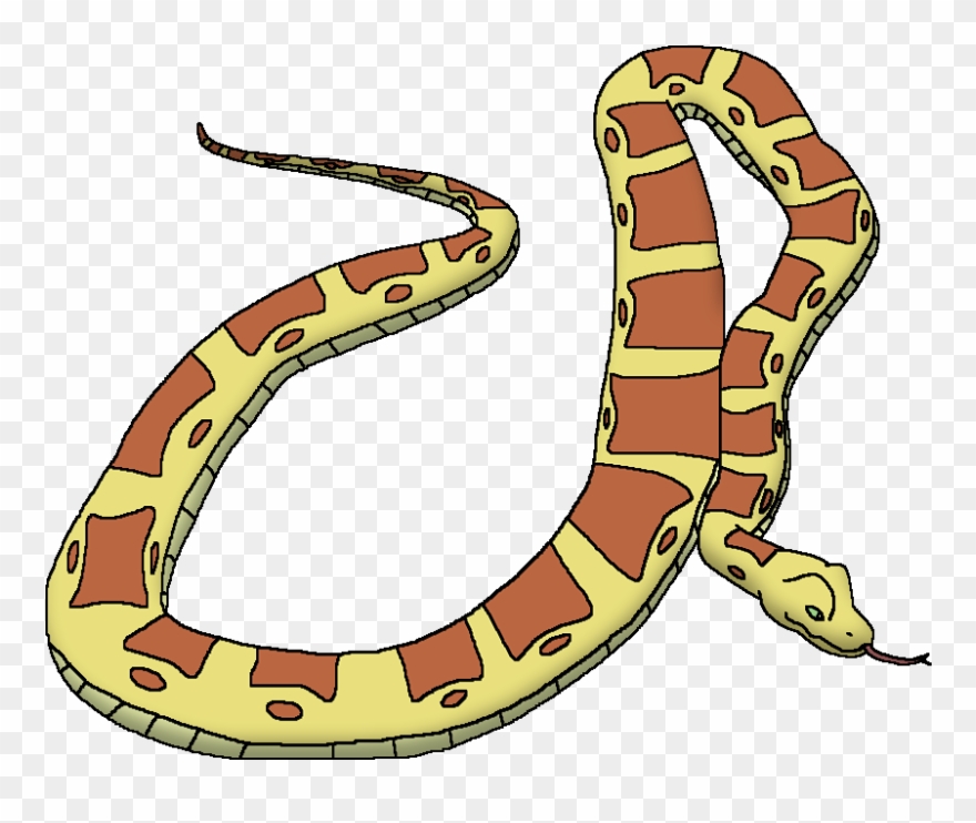 Reticulated python snake.