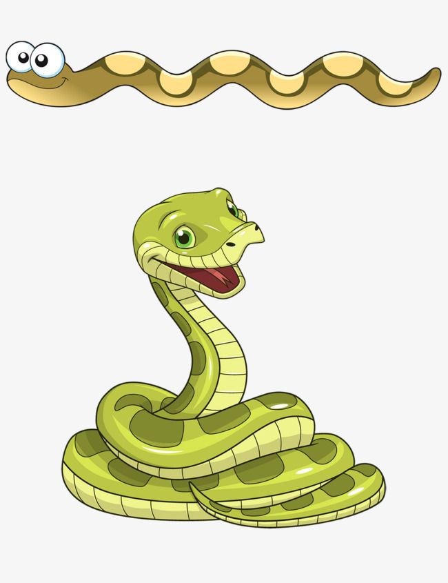 Cartoon snake snake.